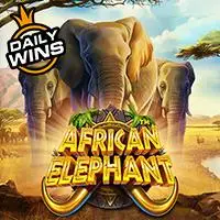 Afrika Elephant